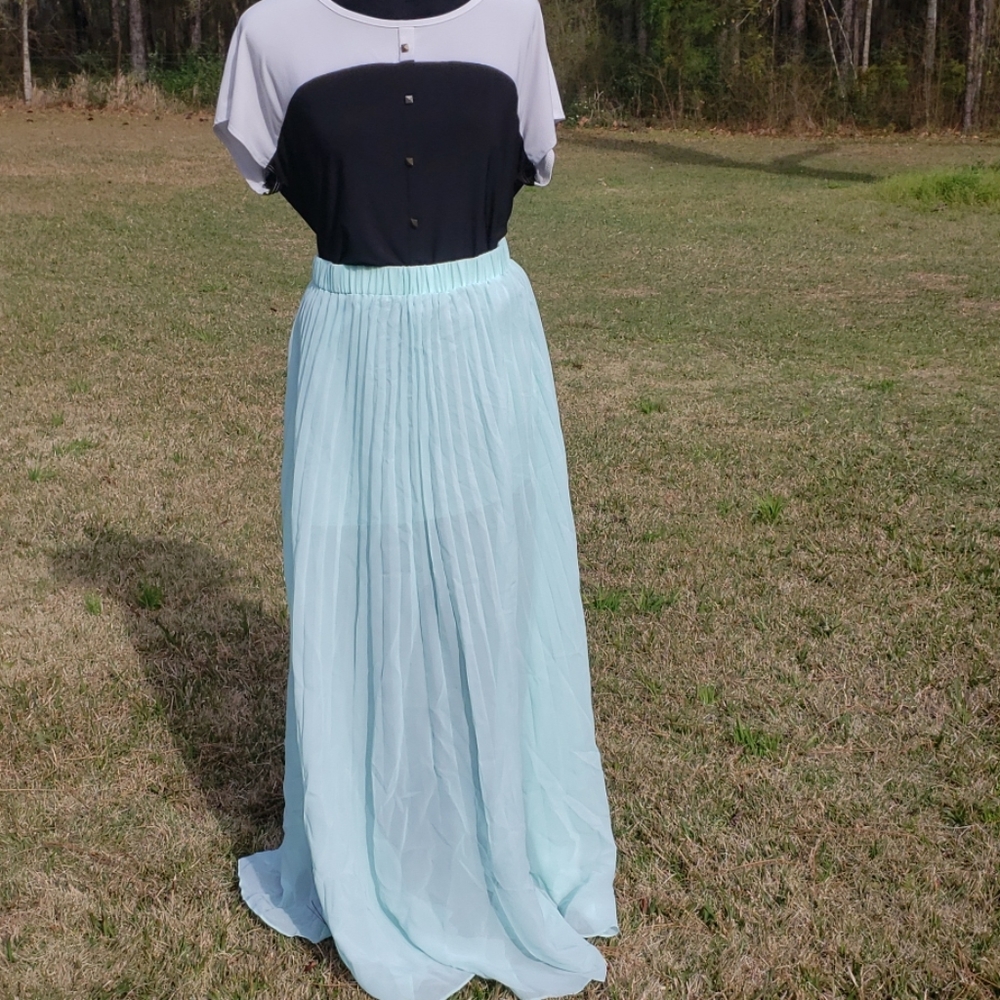 H&M sz 10 Pleated Shear Maxi Skirt
